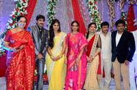 Gopichand Malineni Wedding Reception Gallery